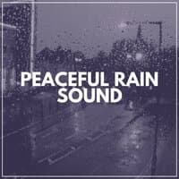 Peaceful Rain Sound