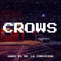 Crows