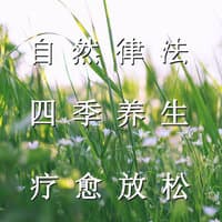 自然律法 四季养生 疗愈放松