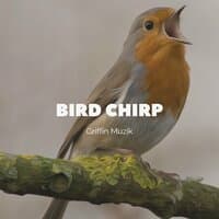 Bird Chirp