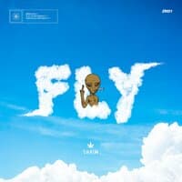 Fly