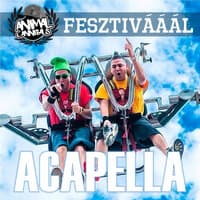 Fesztivááál (Acapella)