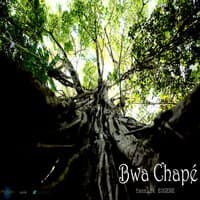 Bwa Chapé