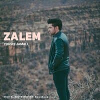 Zalem