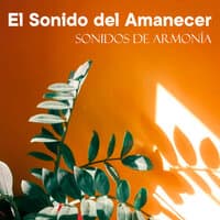 El Sonido del Amanecer