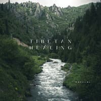 Tibetan Healing