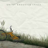 Uncut Kneehigh Grass