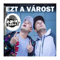 Ezt a várost