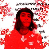 Dead Plastic Rose