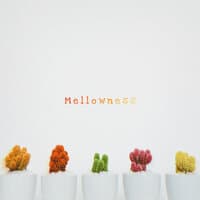 Mellowness