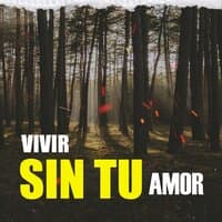 Vivir Sin Tu Amor