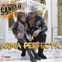 La Arma Perfecta