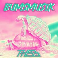 Bumsmusik