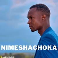 Nimeshachoka