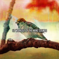 52 Workout Of The Mind Sounds