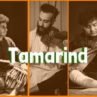 Tamarind