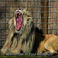 40 Thunder In Your Bedroom