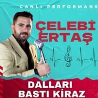 Dalları Bastı Kiraz