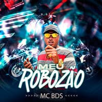 Meu Robozão