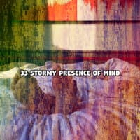 33 Stormy Presence Of Mind