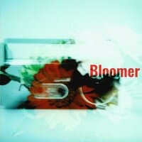 Bloomer