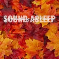 Sound Asleep: Leaves Rumbling Wind Ambience