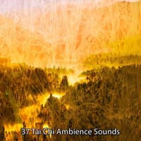 37 Tai Chi Ambience Sounds