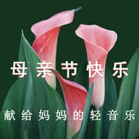 母亲节快乐 献给妈妈的轻音乐