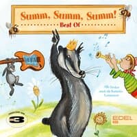 Summ, Summ, Summ! - Best Of