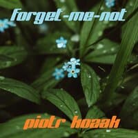 Forget-Me-Not