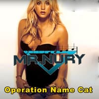 Operation Name Cat