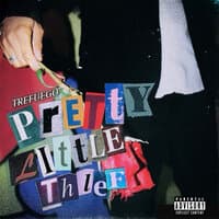 Pretty Little Thief