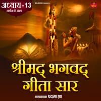 Shrimad Bhagawad Geeta Saar With Narration Chapter, Pt. 13