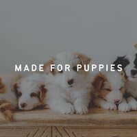 Made for Puppies