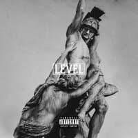 Level