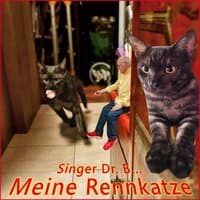 Meine Rennkatze