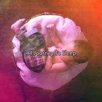 44 Journey To Sleep