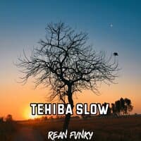 Tehiba Slow