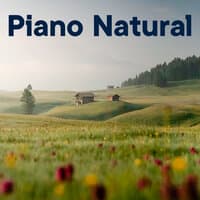 Piano Natural