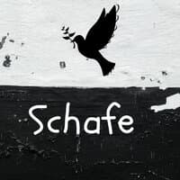 Schafe