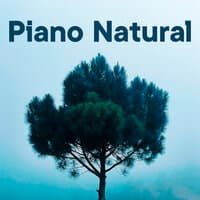 Piano Natural Vol.3