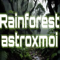 Rain Forest