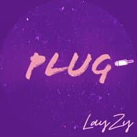 Plug