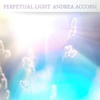 Perpetual Light