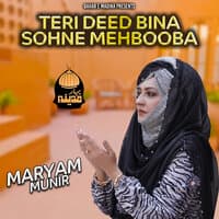 Teri Deed Bina Sohne Mehbooba