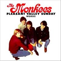 Pleasant Valley Sunday / Words