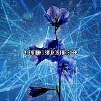 31 Enticing Sounds For Sleep