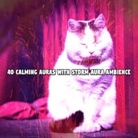 40 Calming Auras With Storm Aura Ambience