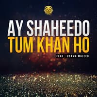 Ay Shaheedo Tum Khan Ho