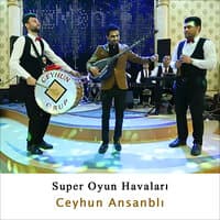 Ceyhun Ansanblı